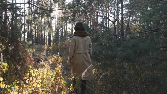 快乐的黑发女人享受午后漫步在秋天的森林。微笑的年轻女性走过绿色的森林。后视视频素材