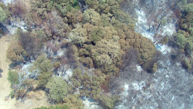 一条土路蜿蜒穿过加利福尼亚的高山山脊。视频素材