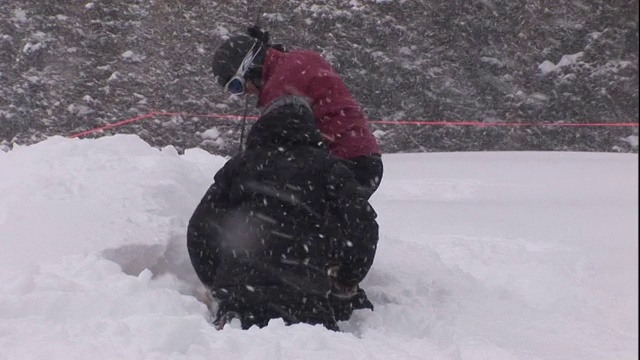 救援人员在雪中挖了一个洞。视频素材