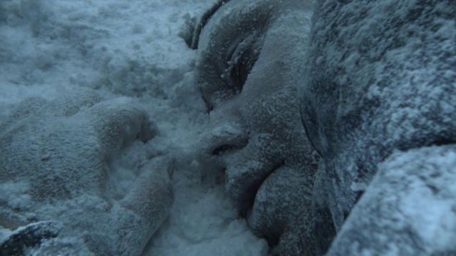 在巴塔哥尼亚的一场暴风雪中，一名冰冷的男子脸朝下躺在雪地里。视频素材