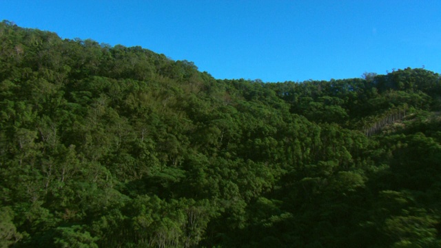 茂密的森林覆盖着连绵起伏的山脉，俯瞰着被洪水淹没的沿海社区。视频素材