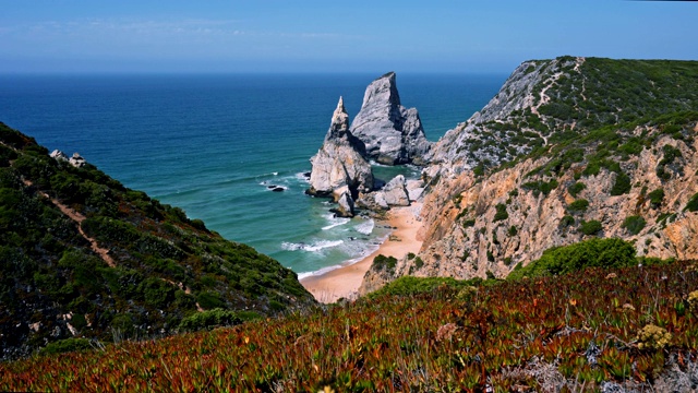 Praia da Ursa海滩在辛特拉，葡萄牙海岸线的4K全景，一些植物叶子在前景视频素材