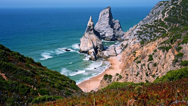 在葡萄牙辛特拉的Praia da Ursa海滩的4K风景。前景中的观叶植物视频素材