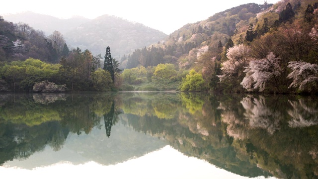 韩国全罗南道火星枪色扬基水库的日出雾视频素材