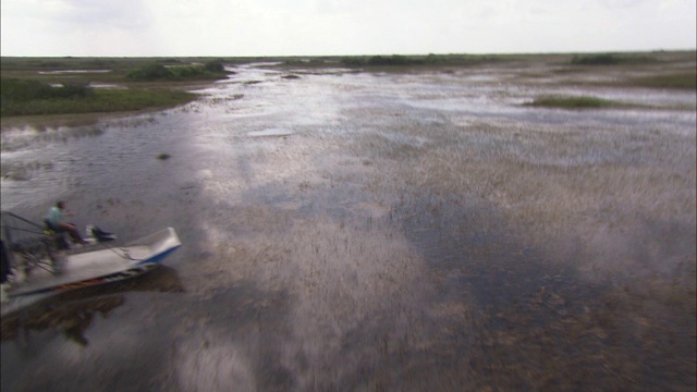 一艘汽艇在大沼泽地上游弋。视频素材