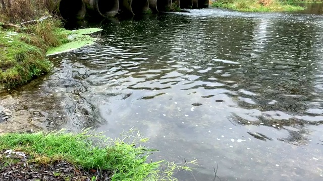 污水排入河里视频素材