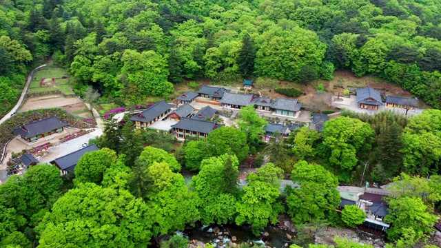 韩国庆尚南道三清郡大元寺的绿色景象视频素材