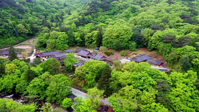 韩国庆尚南道三清郡大元寺的绿色景象视频素材