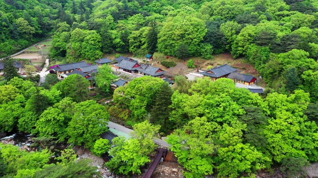 韩国庆尚南道三清郡大元寺的绿色景象视频素材