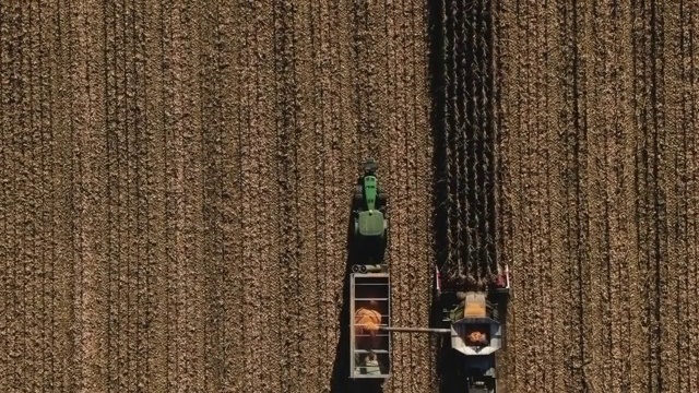 联合收割机在收获地里收割成熟玉米的鸟瞰图视频素材