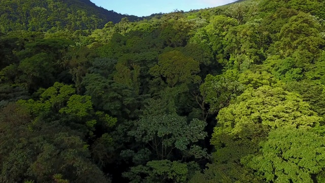 哥斯达黎加阿雷纳尔火山的无人机丛林视频素材