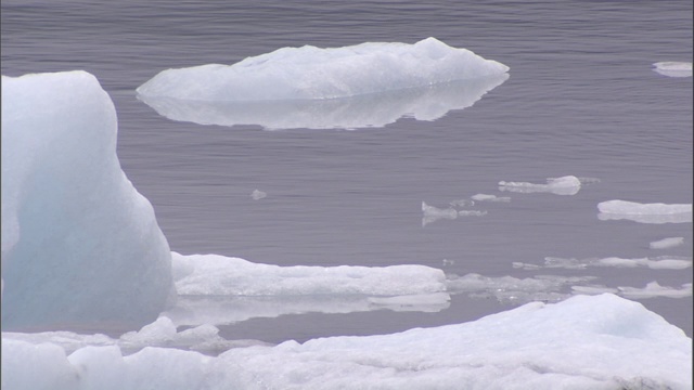 一片片的冰川雪漂浮在平静的水面上。视频素材