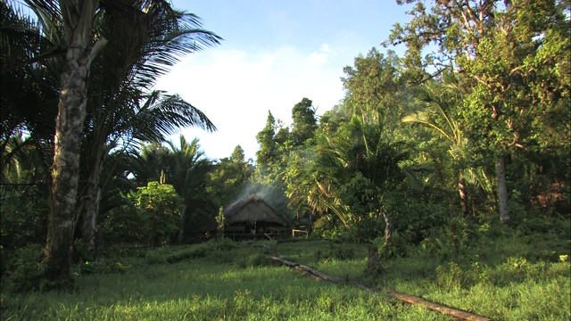 印度尼西亚丛林中的一间小屋升起浓烟。视频素材