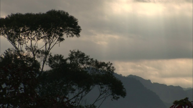 在印度，雨层云笼罩在一棵树后面的一座山上。视频素材