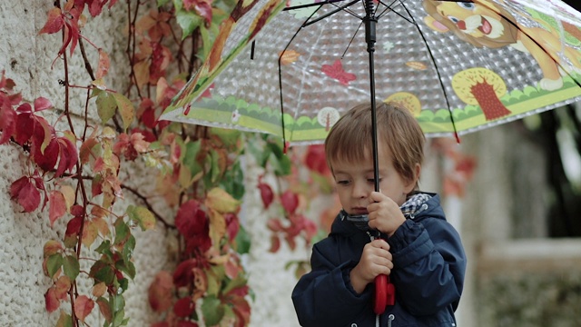 雨中快乐的小男孩站在雨伞下，背景是秋天的黄叶视频素材