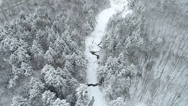 空中俯瞰冰雪覆盖的冬季荒野视频素材