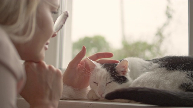 女人抚摸着窗台上熟睡的小猫视频素材