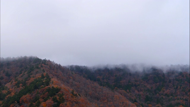 云在山顶移动视频素材