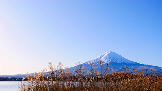 阳光普照的富士山视频素材