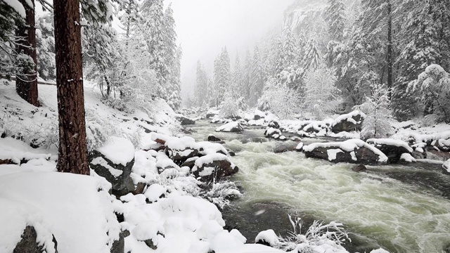 优山美地国家公园的雪景视频素材