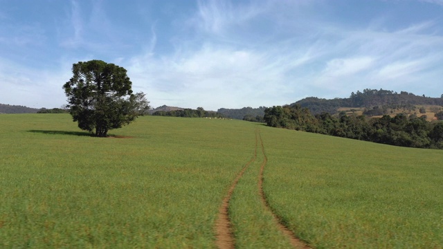 电影动态移动拍摄的风景全景的乡村，绿色的农田与绿色的草视频素材