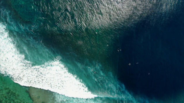 在海浪中冲浪的鸟瞰图。蓝色的海浪和冲浪者视频素材