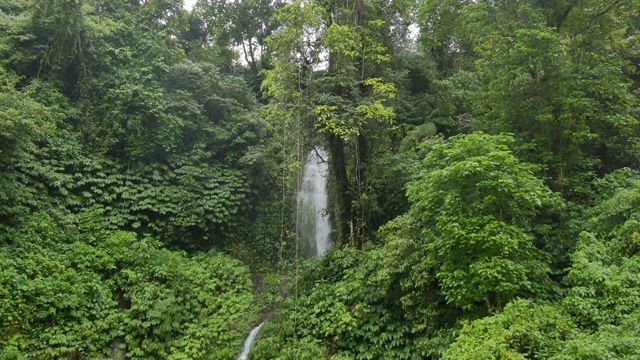 在巴厘岛的雨天，绿色热带树叶中的小瀑布视频素材