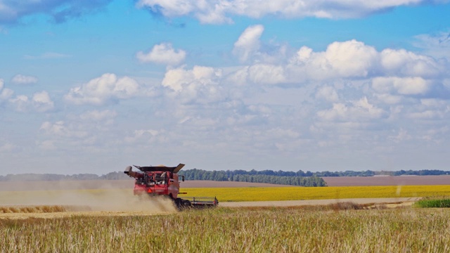 夏季黄田上的农业过程。视频素材