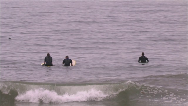 三个冲浪者骑着冲浪板漂浮在海面上。视频素材