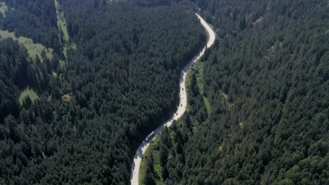 穿越森林的公路旅行视频素材