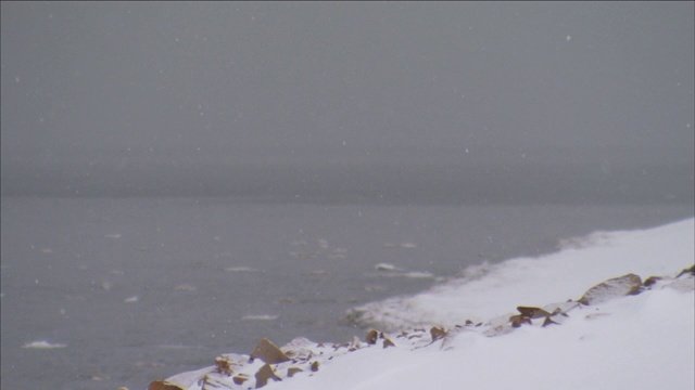 雪落在结冰的湖面上。视频素材