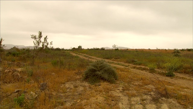 一条土路穿过一片草地。视频素材