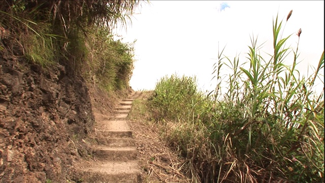 植物和草在菲律宾山区的泥土楼梯边。视频素材