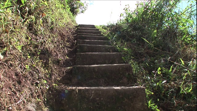 杂草和草的边界的石头和泥土楼梯上山。视频素材