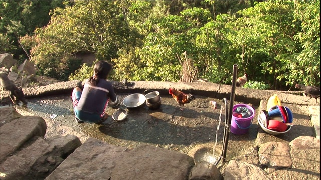 一个女孩在一只猪和公鸡旁边刷盘子。视频素材