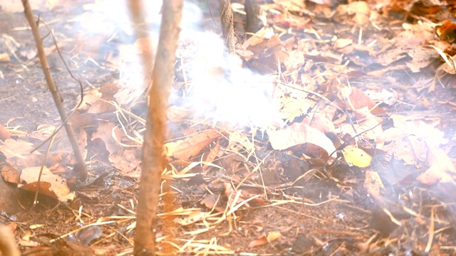 慢镜头火火焰燃烧干叶在山上的森林，火焰灼热炽热，消防员使用仪器破坏火种燃料，对山上森林和环境都是危险的视频素材