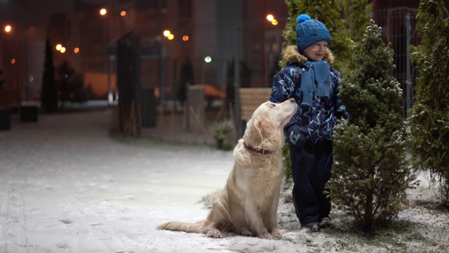 美丽的慢动作视频-一个小男孩和他的狗快乐地摇掉从一个下雪的圣诞树在一个冬天的晚上在公园视频素材