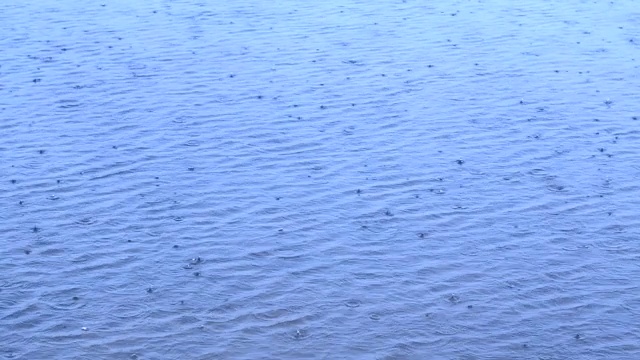 雨滴落在池塘、湖泊或河流的水面上，形成统一的背景视频素材