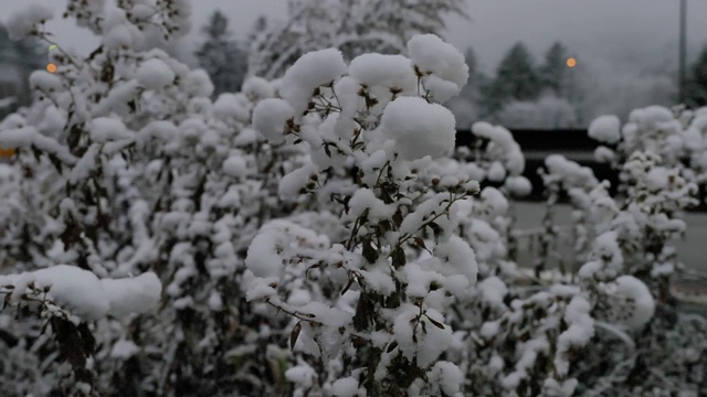 日本高速公路入口路边的雪的缓慢运动视频素材