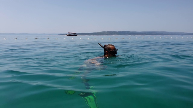 快乐的少女浮潜与面具和脚蹼附近的海浮标视频素材