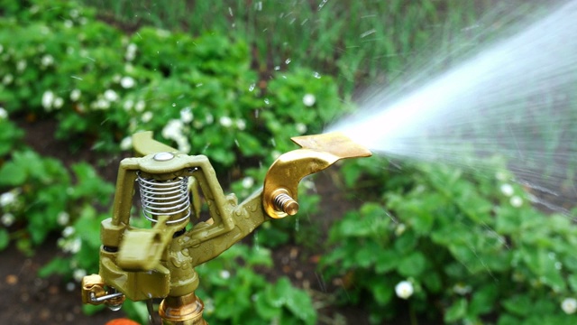 花园里的自动洒水器。视频素材