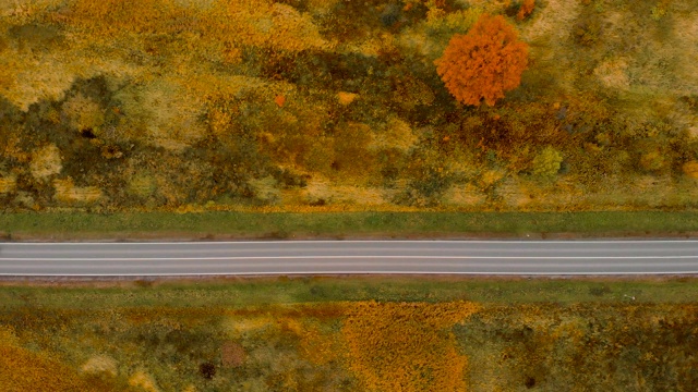 鸟瞰图飞行在令人惊叹的秋天自然和道路运行通过风景如画的乡村。路在秋景航拍。秋日的汽车驾驶道路穿过五彩缤纷的风景。视频素材