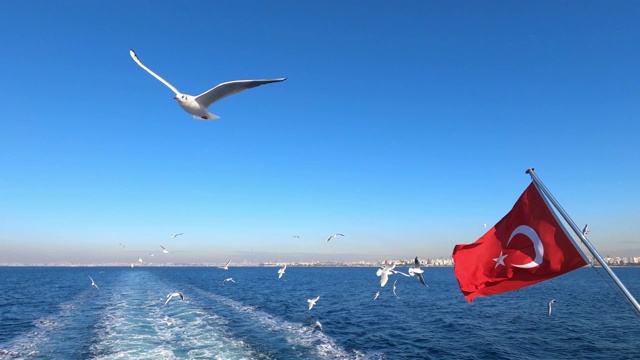 慢镜头中土耳其国旗在海面上飘扬视频素材