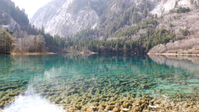 九寨沟国家公园里的九寨沟风景秀丽，湖水清澈视频素材