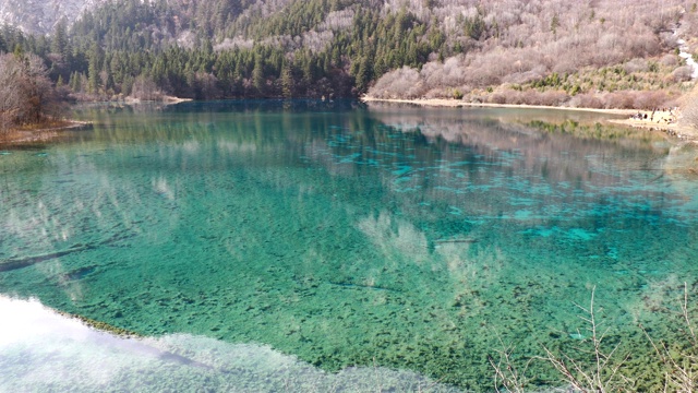 九寨沟国家公园里的九寨沟风景秀丽，湖水清澈视频素材