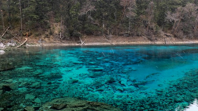 九寨沟国家公园里的九寨沟风景秀丽，湖水清澈视频素材