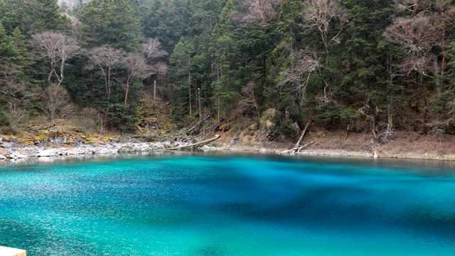 九寨沟国家公园里的九寨沟风景秀丽，湖水清澈视频素材