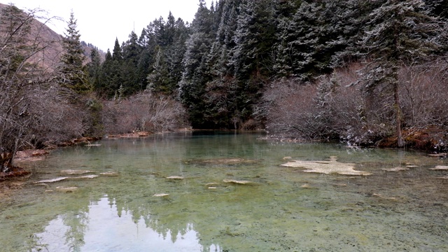 美丽迷人的黄龙谷水晶池视频素材