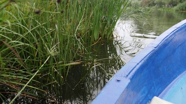 小木船漂浮在湖面上。小船沿湖航行的近景。蓝色的船航行在绿色的湖和莎草。视频素材