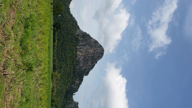 乡村风景，垂直概念。视频素材